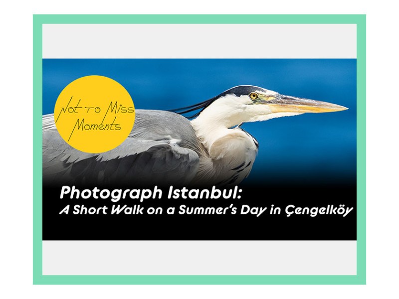 On YouTube: Photograph Istanbul: A Short Walk on a Summer’s Day in&nbsp;Cengelkoy