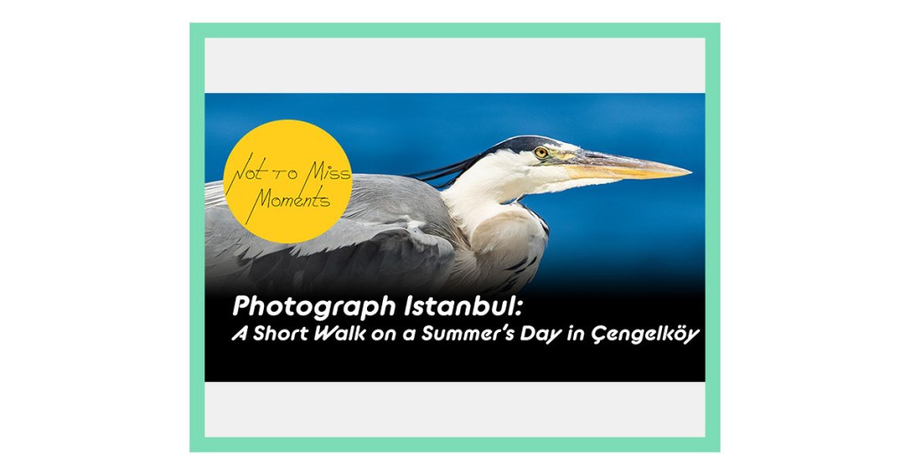 On YouTube: Photograph Istanbul: A Short Walk on a Summer’s Day in&nbsp;Cengelkoy